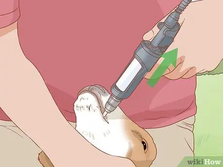 Облить козу Шаг 7