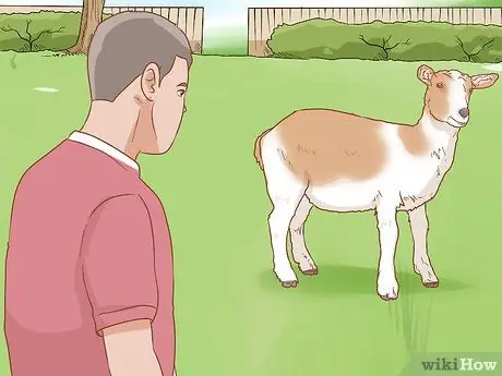 Облить козу Шаг 8