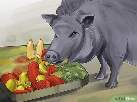 Покормить свиней Шаг 5