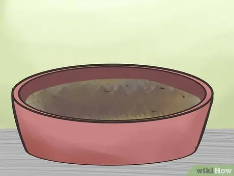 Приучите свинью к дому, шаг 1