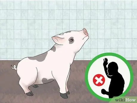 Приучите свинью к дому Шаг 12