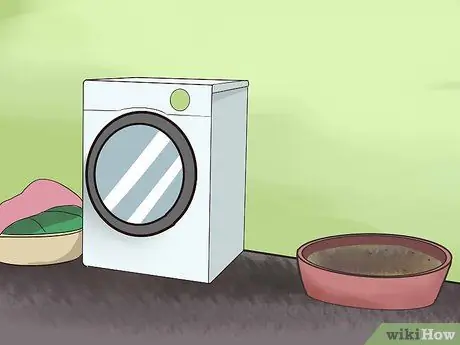 Приучите свинью к дому, шаг 2