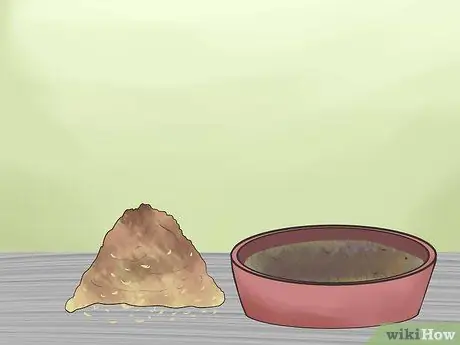 Приучите свинью к дому Шаг 4