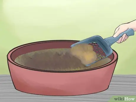 Приучите свинью к дому Шаг 5