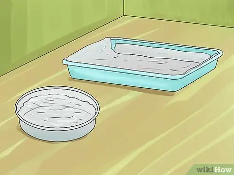 Уход за домашней свиньей Шаг 10