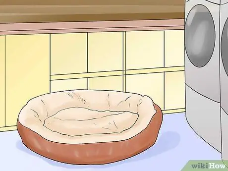 Уход за домашней свиньей Шаг 11