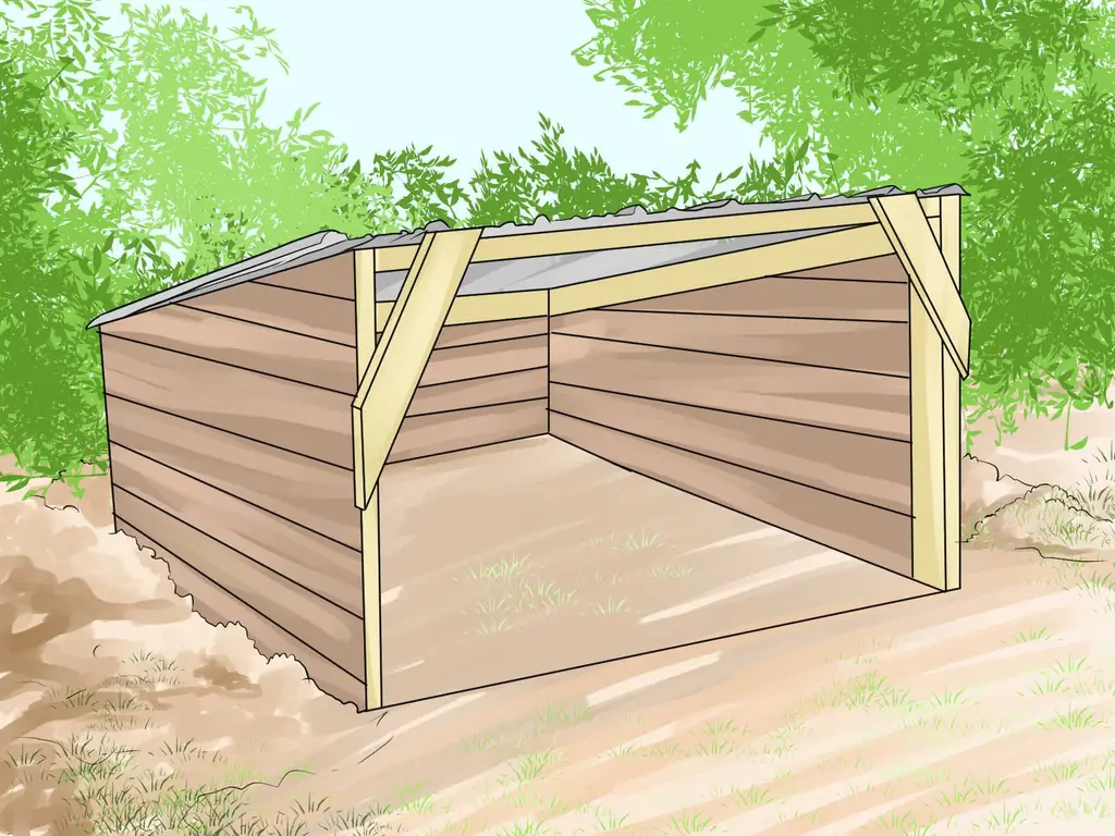 3 способа ухода за домашней свиньей