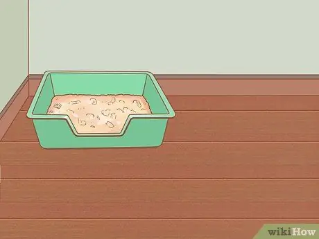 Приручить свинью Шаг 9