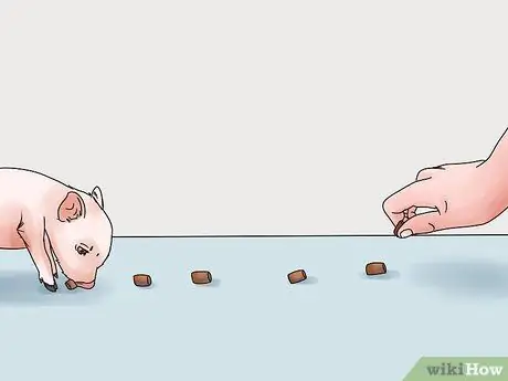 Искупайте свинью шаг 4