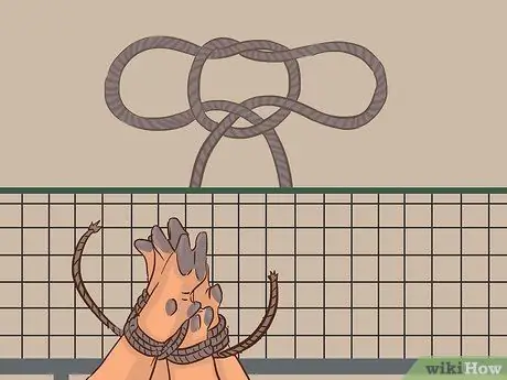 Свинья Свинья Шаг 10