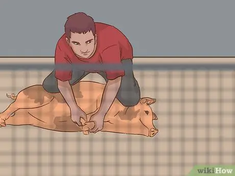 Hogtie a Pig Шаг 6