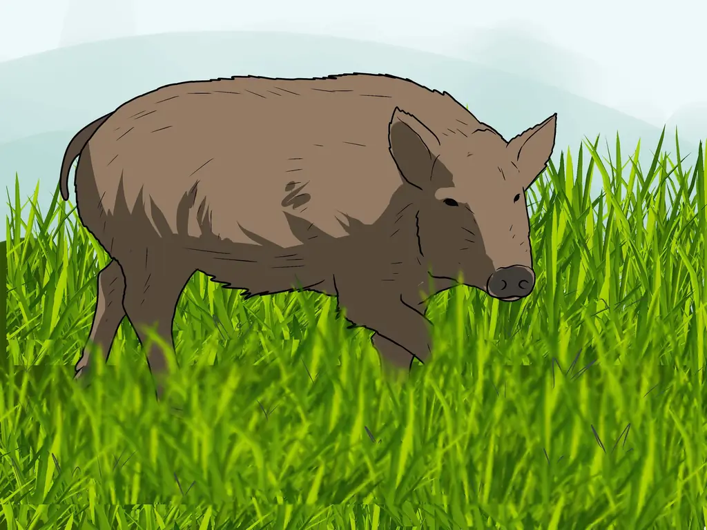 Как вызвать свиней: 8 шагов (с картинками)