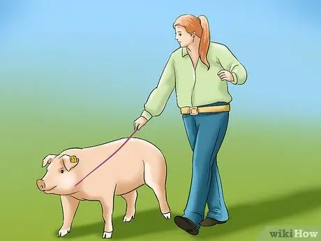 Покажи своих свиней, шаг 12