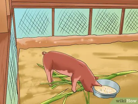 Покажи своих свиней, шаг 2