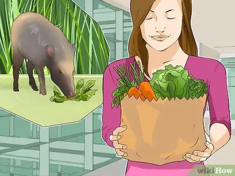 Уход за джавелиной Шаг 12