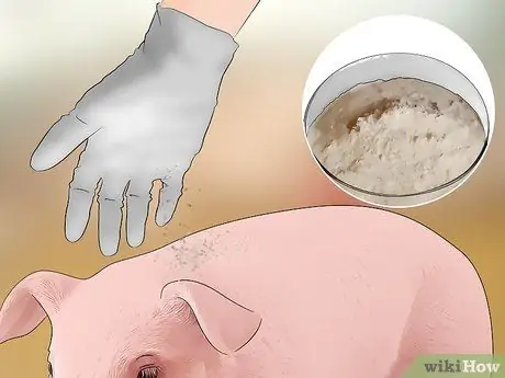 Предотвратите заражение свиней вшами и клещами Шаг 10