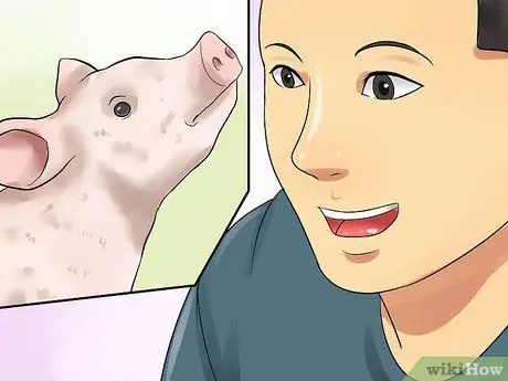Играть с поросенком Шаг 4