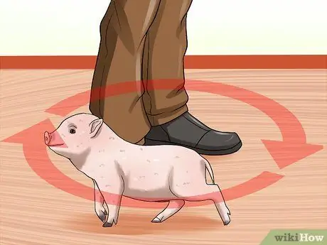 Играть с поросенком Шаг 7