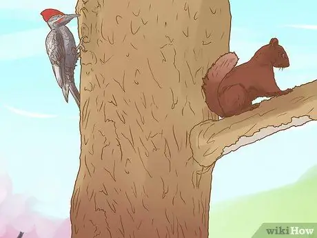 Определение вяза Шаг 6