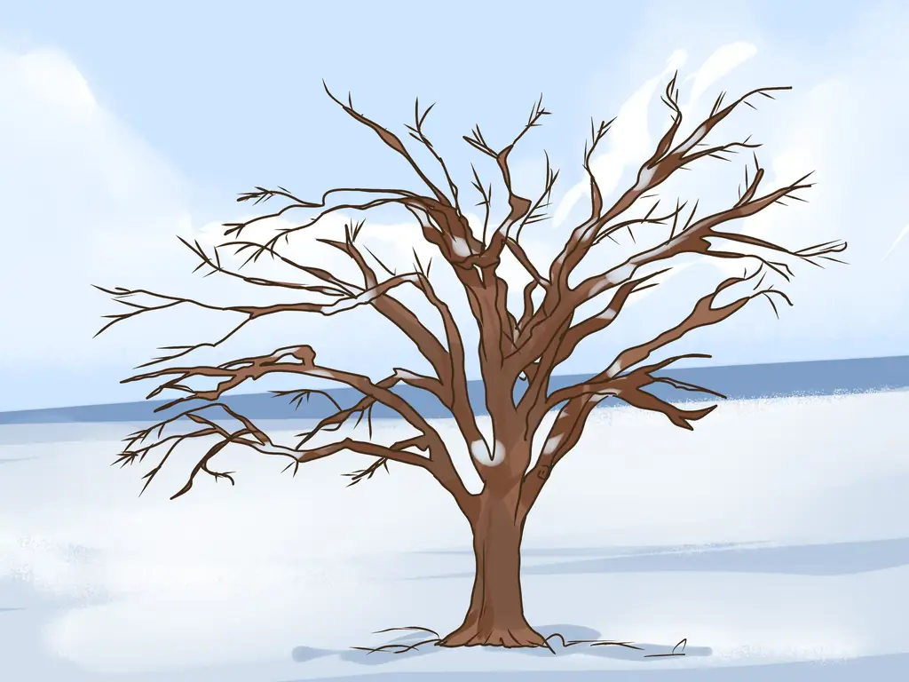 3 способа распознать вяз