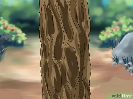 Определите ели Шаг 10