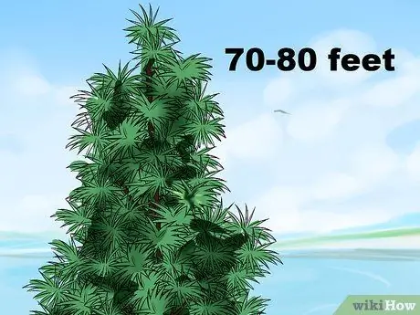 Определите ели Шаг 11