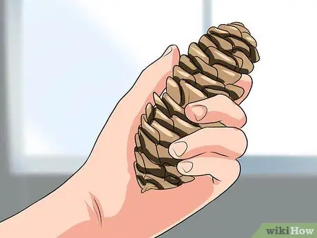 Определение елей Шаг 2