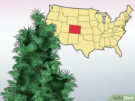 Определите ели Шаг 5