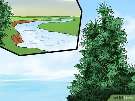 Определите ели Шаг 6