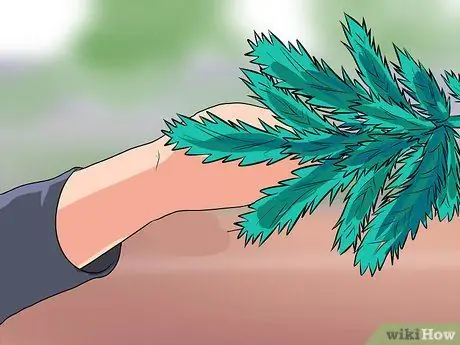 Определите ели Шаг 8