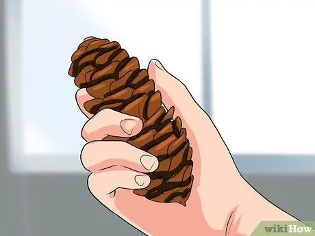 Определите ели Шаг 9