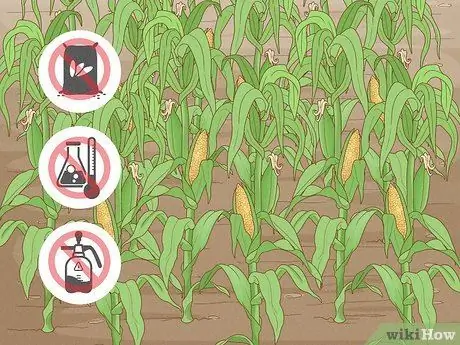 Стать органическим фермером Шаг 1