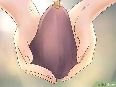 Стать ботаником Шаг 13