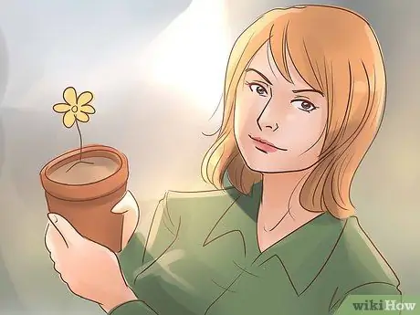 Стать ботаником Шаг 2