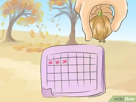 Вспахать поле Шаг 1