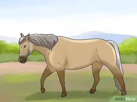 Вспахать поле Шаг 12