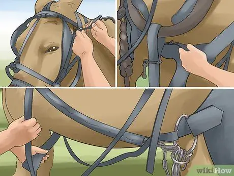 Вспахать поле Шаг 13