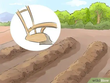 Вспахать поле Шаг 15