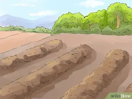 Вспахать поле Шаг 7