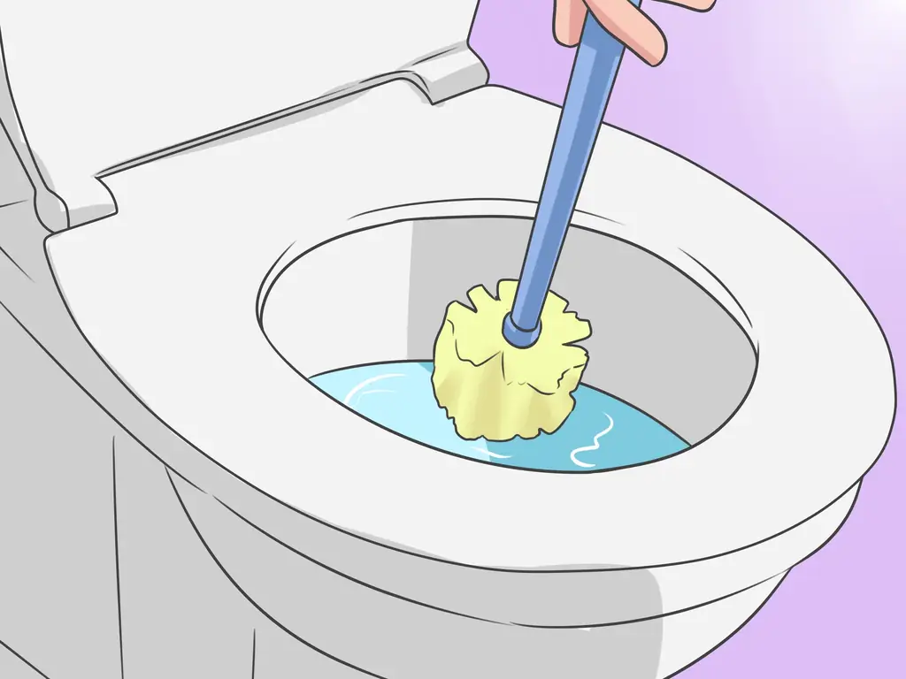 Как выжить в общежитии колледжа: 12 шагов (с иллюстрациями)