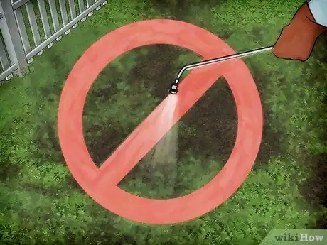 Привлечение медоносных пчел Шаг 10