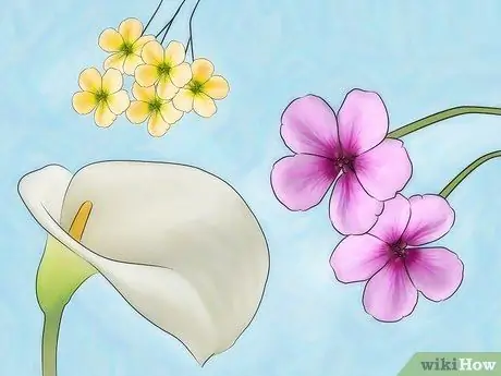 Привлечение медовых пчел Шаг 3