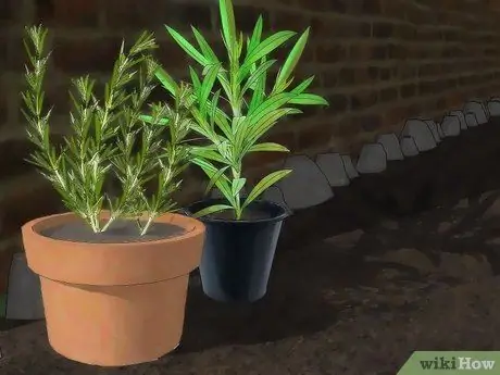 Привлечение медоносных пчел Шаг 6