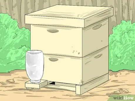 Покормить пчел, шаг 2