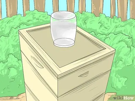 Покормить пчел, шаг 3