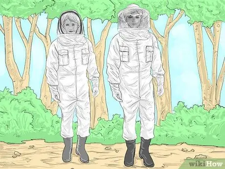 Покормить пчел, шаг 5