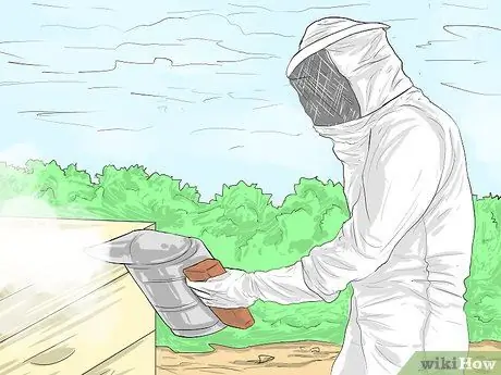 Покормить пчел, шаг 6