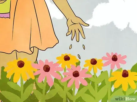 Помогите спасти медоносных пчел, шаг 1