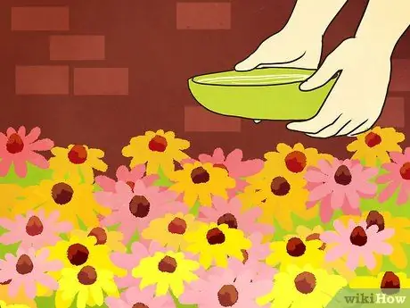 Помогите спасти медоносных пчел Шаг 9