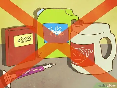 Помогите спасти медоносных пчел, шаг 3